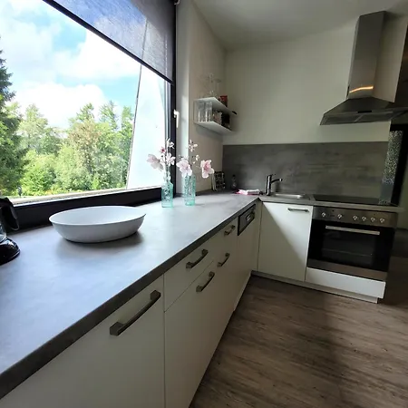 Winterberg Appartement 21097 Exterior photo